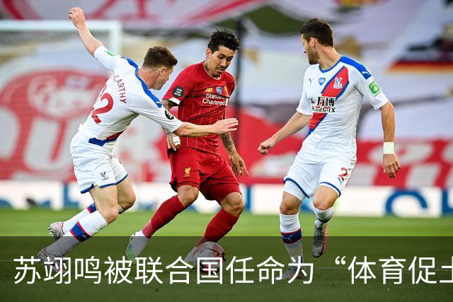 苏翊鸣被联合国任命为“体育促土地”大使